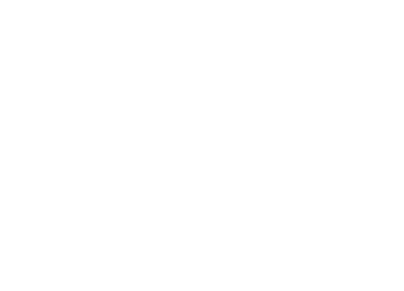 Bison Insurance PLLC - Logo 800 White